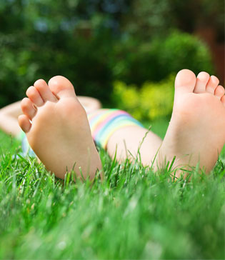 organic-lawn-care-img